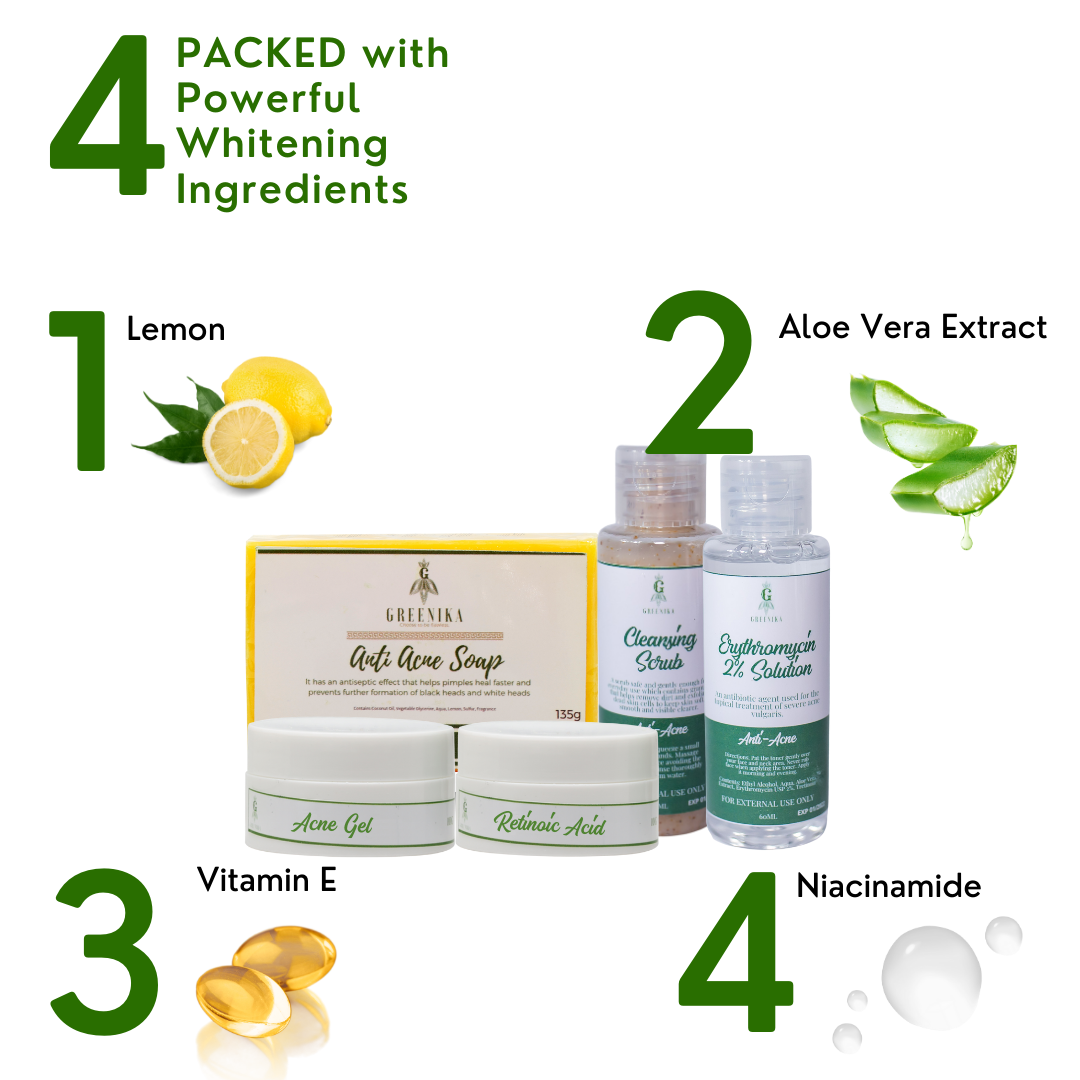 Greenika Acne Control Set