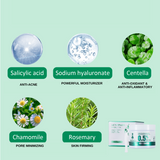 Greenika Premium ACNEPADS Intant Pore Cleansing