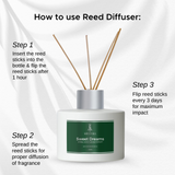 Greenika Reed Diffuser with 4pcs Reed Sticks