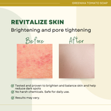 Greenika Premium Organic Tomato Natural Whitening Anti Wrinkle Soap
