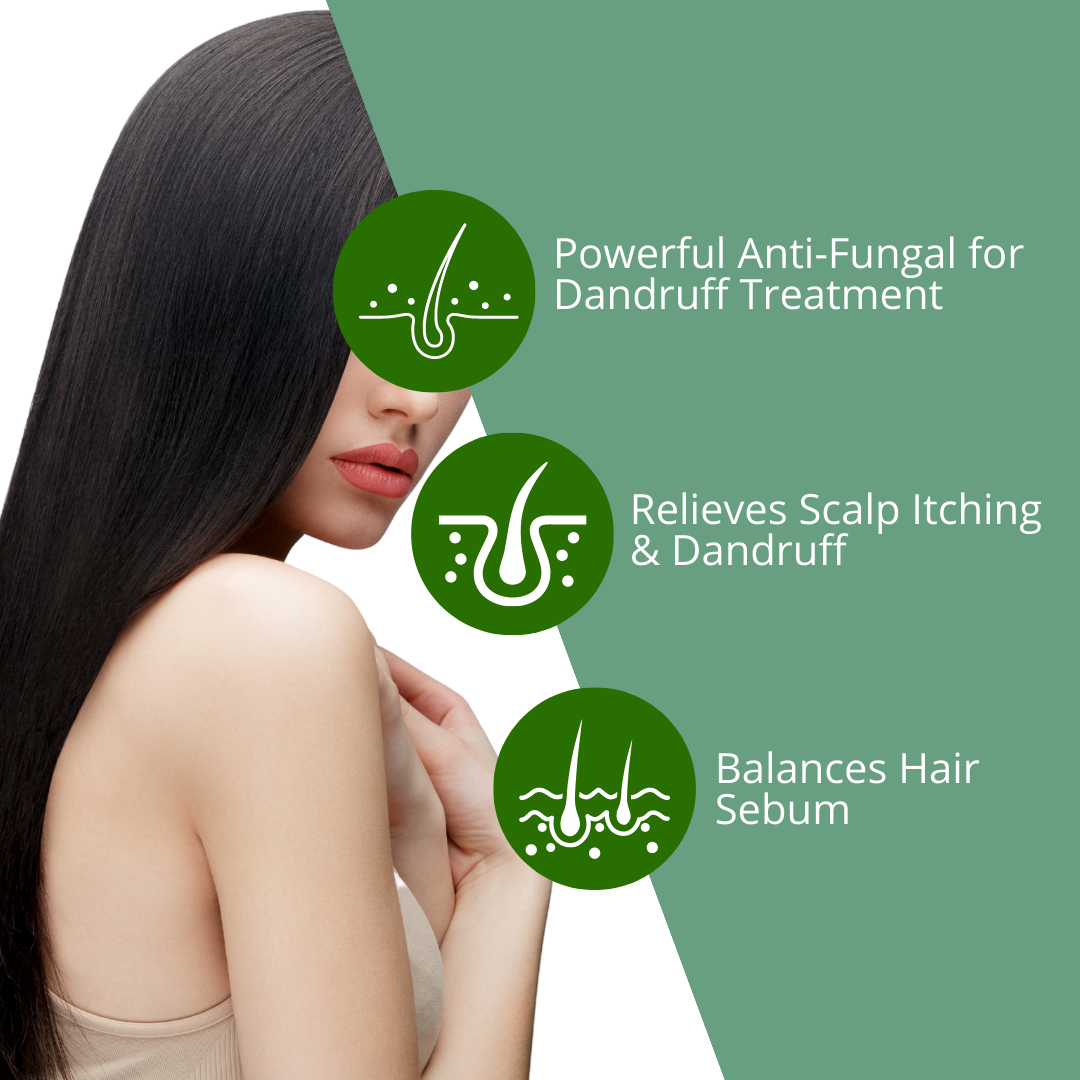 [ ANTI-DANDRUFF + ANTI-ODOR ] Greenika Anti-Dandruff Shampoo Sulfate-Free Anti Odor Shampoo Deep Cleanses Removes Oil & Sebum Scalp Buildup Removes Odor Dirt & impurities for Oily Hair & Oily Scalp Treatment Anti-Fungal Anti Fungal with Argan OIl
