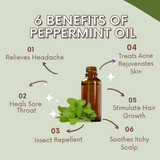 Greenika Peppermint Carrier Essential Oil